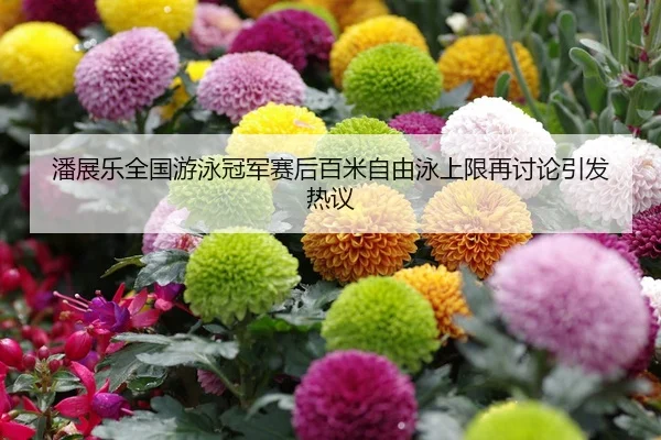 pan-zhan-le-quan-guo-you-yong-guan-jun-sai-hou-bai-mi-zi-you-yong-shang-xian-zai-tao-lun-yin-fa-re-yi-1-646.jpg